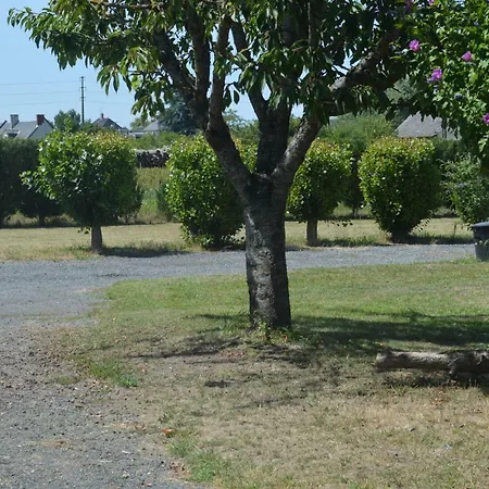 Gite Dans Le Vignoble De Bourgueil Le Port Boulet Exterior photo