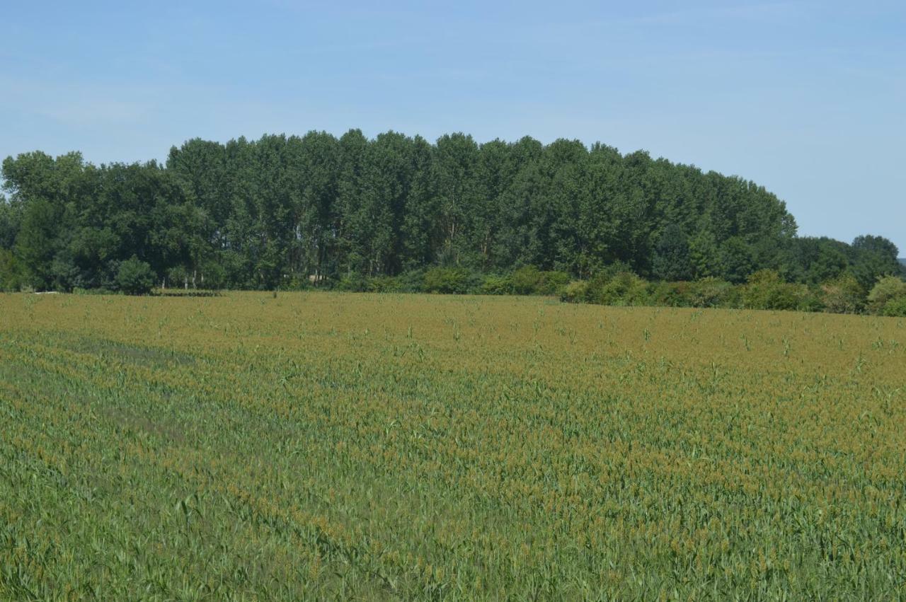 Vakantiehuis Dans Le Vignoble De Bourgueil